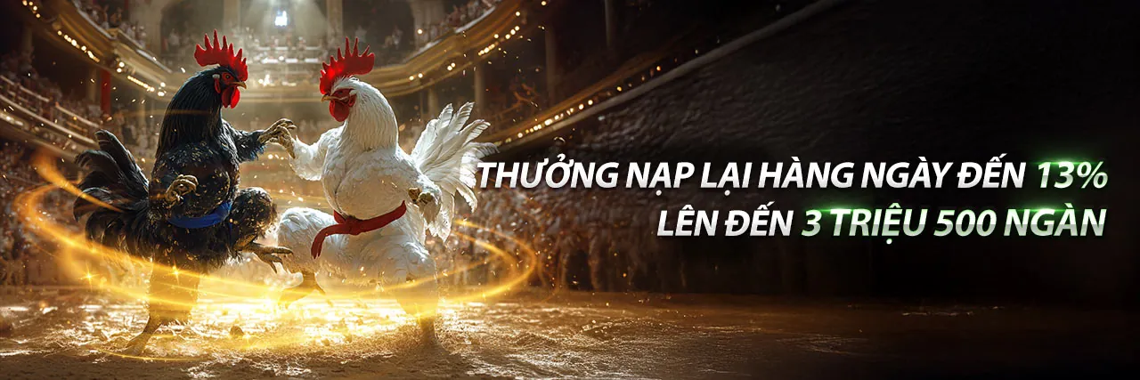 Ưu Đãi Hấp Dẫn Nhất vnbet 2026